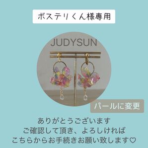 ボステリくん様専用