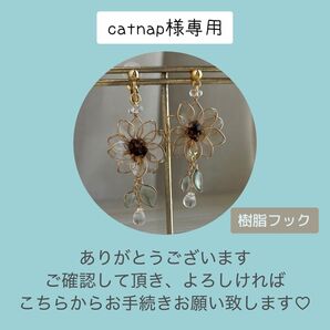 catnap様専用