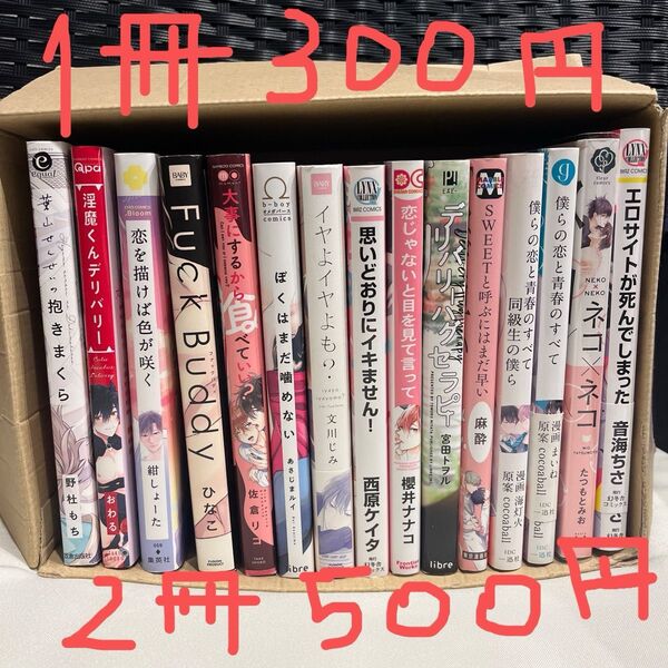 BLコミック1冊300円2冊500円