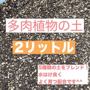 ☆我が家の多肉植物の土☆ 5種類の土をブレンド 水はけ良く、良く育つブレンドです^^