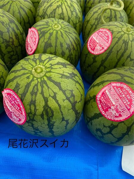 尾花沢スイカ ピノガール家庭用8キロ 小玉すいか 小玉スイカ 地域ブランド すいか送料無料 小玉スイカ 限定販売