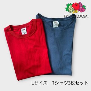 FRUIT OF THE LOOM(フルーツオブザルーム) Tシャツ 2枚セット Lサイズ 赤・ブルー 半袖 TEE