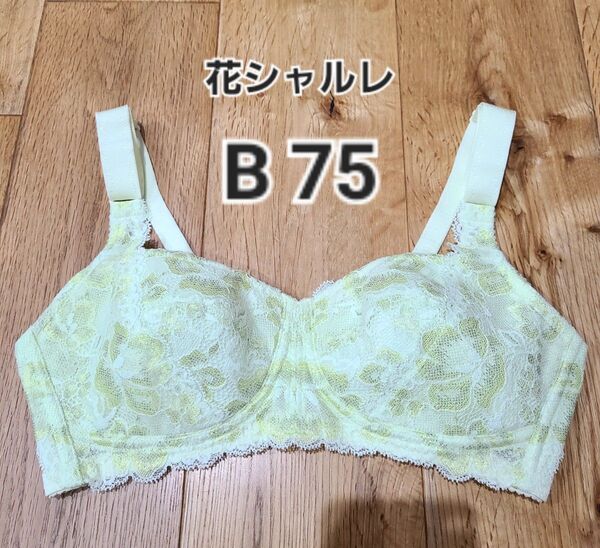 ☆出品7/24まで☆ シャルレ 花シャルレ ブラジャー B75 補正下着