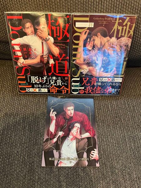●即購入不可● 極道Dom/Sub 正しい愚弟の躾け方 1,2巻 コミコミ リーフレット特典つき 拝