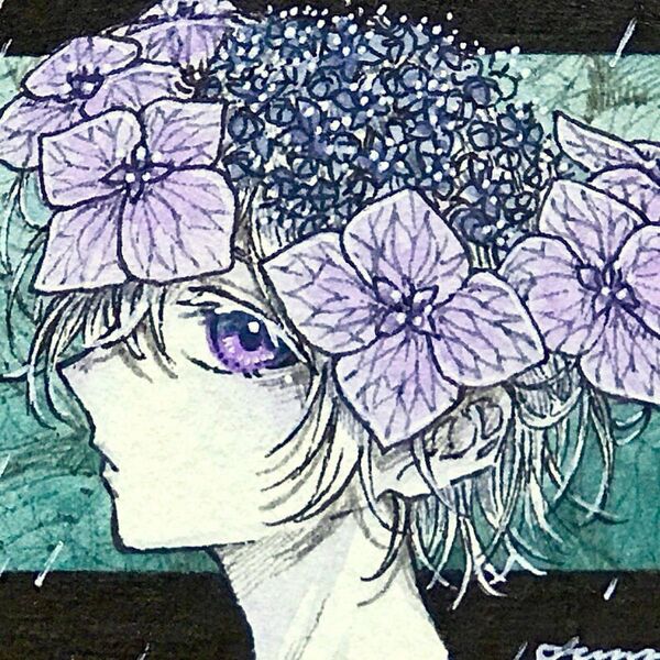 【額付き原画】 手描きイラスト オリジナル 創作 紫陽花 雨 紫 花