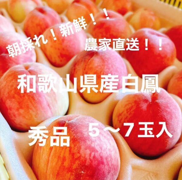 【農家直送】【秀品】和歌山県産白鳳 桃 5〜7玉入り