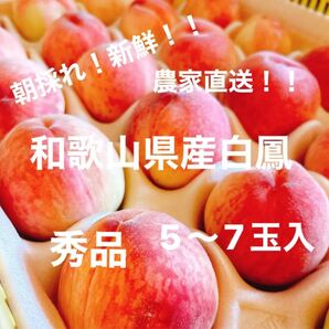 【農家直送】【秀品】和歌山県産白鳳 5〜7個 桃 手提げ箱
