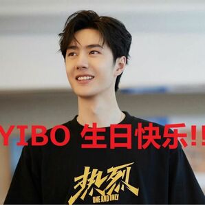 #545 王一博 シール64枚セット YIBO