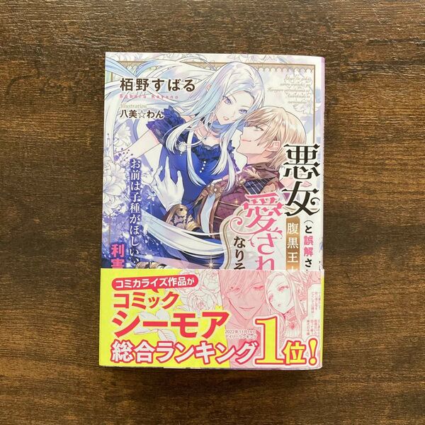 【小説】悪女(と誤解される私)が腹黒王太子様の愛され妃になりそうです!? 栢野すばる 八美☆わん ティアラ文庫 フランス書院
