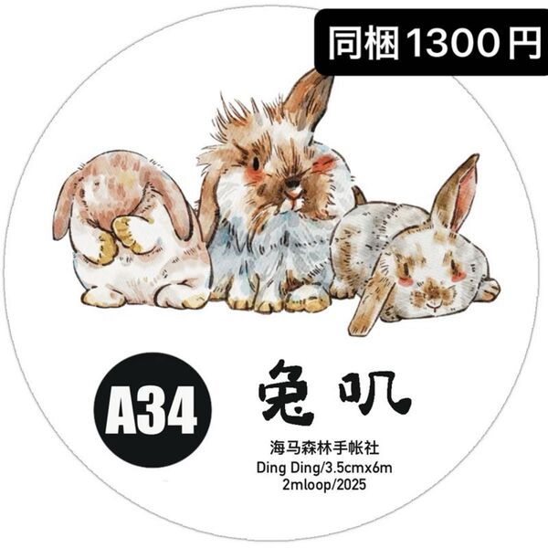 新品 DINGDING A34 兎 PET霧面マスキングテープ マステ 6m