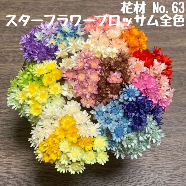 花材 No.63 スターフラワー・ブロッサム全色セット♪