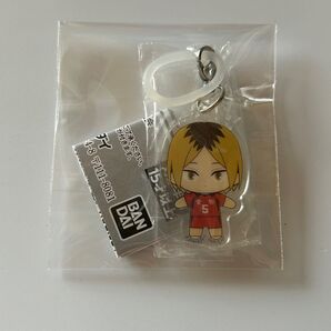 ハイキュー!! めじるしアクセサリー 研磨