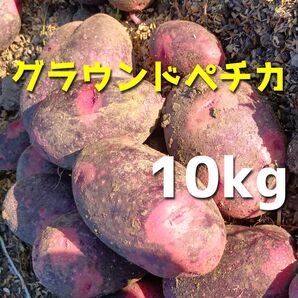グラウンドペチカ10kg