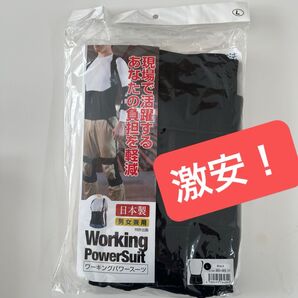 ワーキングパワースーツ Lサイズ 作業負担軽減 筋トレ プロテイン サポーター