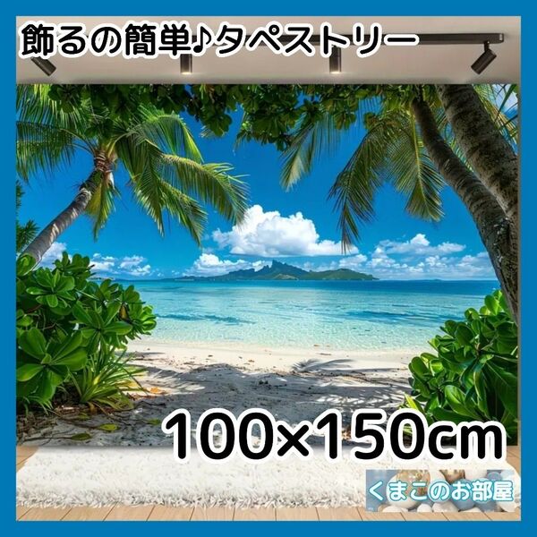 タペストリー 背景布 ビーチ 南国 海 リゾート バカンス インテリア S55