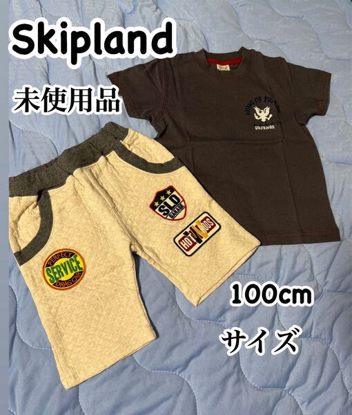 新品未使用、男の子用Tシャツ ハーフパンツ 上下セット、100cm