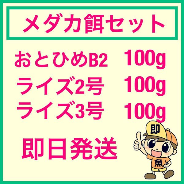お得なメダカ餌セット おとひめB2 ライズ2号 ライズ3号 各100gづつ合計300g