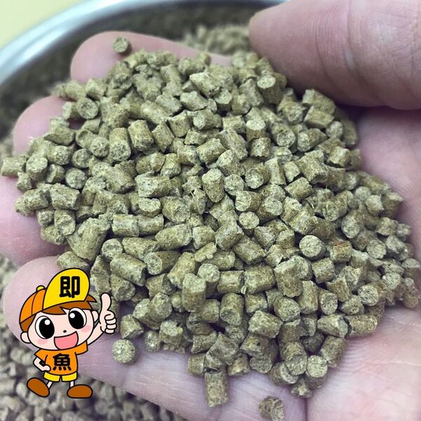 3㎜ペレット1800g入り らんちゅう 金魚 錦鯉 小型熱帯魚に最適 高タンパク 沈下性 ザリガニ ヌマエビにも有効です