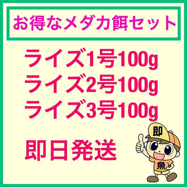 お得なメダカ餌セット ライズ1 2 3号 100gづつ合計300g