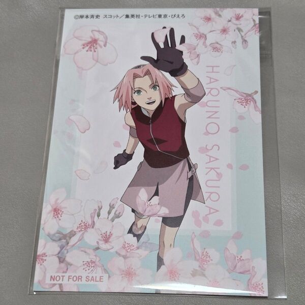NARUTO ナルト 桜ver. 前田珈琲 春野サクラ ポストカード