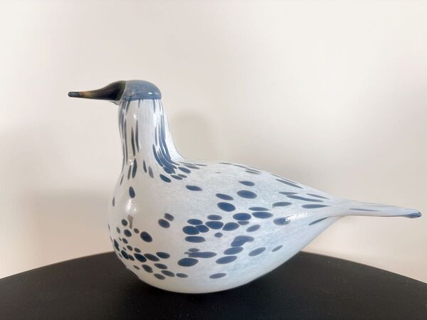 2013年アニュアルバード Mistle Thrush