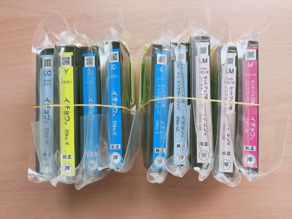 エプソン純正インク イチョウ 5色