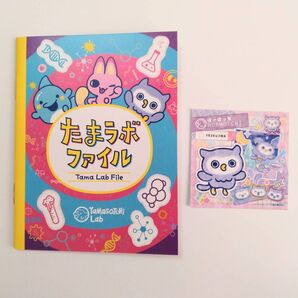 たまラボファイル たまラボステッカー ほーほっち たまごっちパラダイス 購入特典