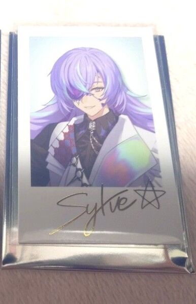 にじさんじ HEROES Dytica チェキ風 ランダム カード 箔押し サイン 星導ショウ