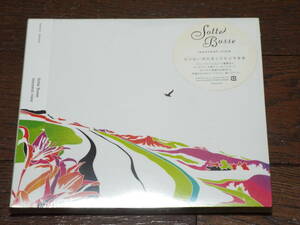 新品★SOTTE BOSSE／innocent view◆ハナミズキ／チェリー／言葉にできない／夜空ノムコウ◆ソットボッセ／カバー・アルバム