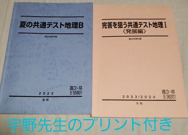 【駿台、宇野先生のプリント付き!】地理テキストセット