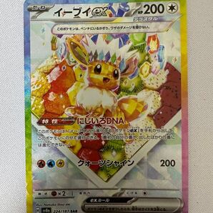 美品 イーブイsar
