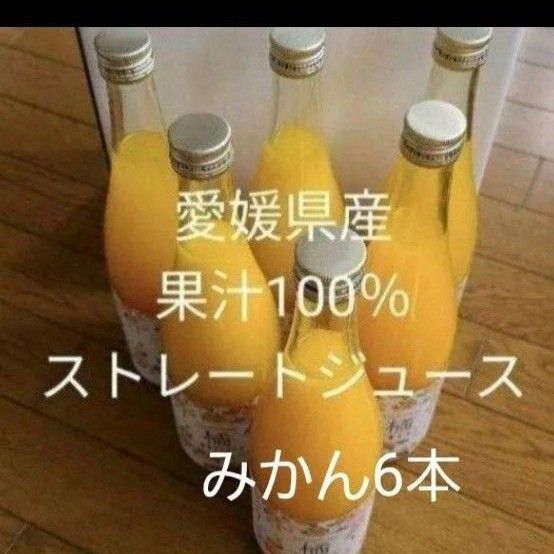 愛媛県産果汁100%ストレートジュース