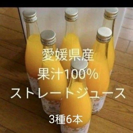 愛媛県産果汁100%ストレートジュース