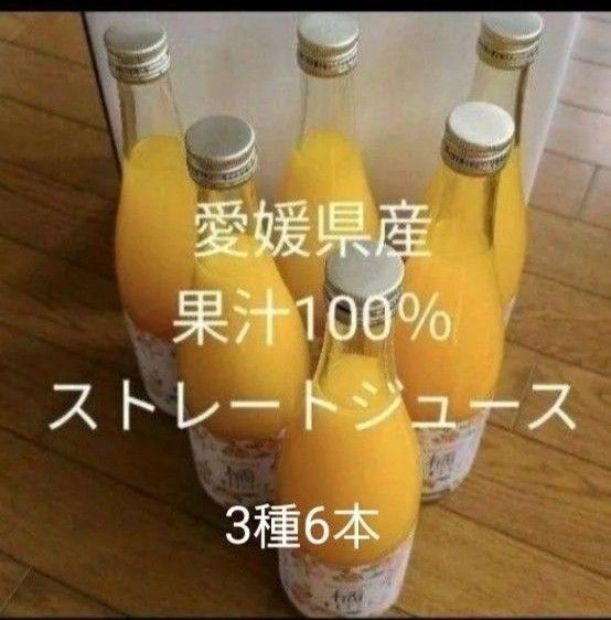 愛媛県産果汁100%ストレートジュース