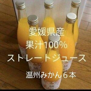 愛媛県産果汁100%ストレートジュース
