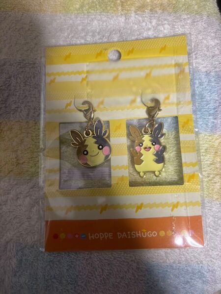 ポケモンセンター限定 2面メタルチャーム ポケットモンスター ポケモン キーホルダー