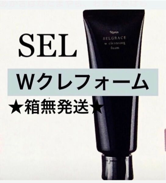 ★箱無発送★ ナリス 《新》セルグレース Wクレンジングフォーム 100g 1本