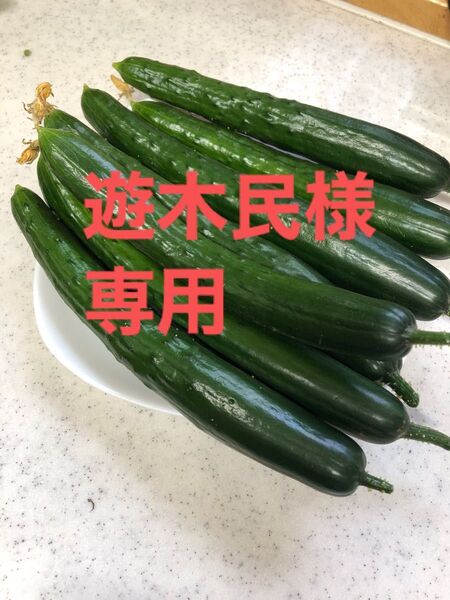 きゅうり 信州産 キュウリ