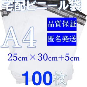 TーA4郵送袋 宅配ビニール袋 宅配袋A4梱包資材 配送用 梱包袋防水 ネコポス 宅配ポリ袋 発送用
