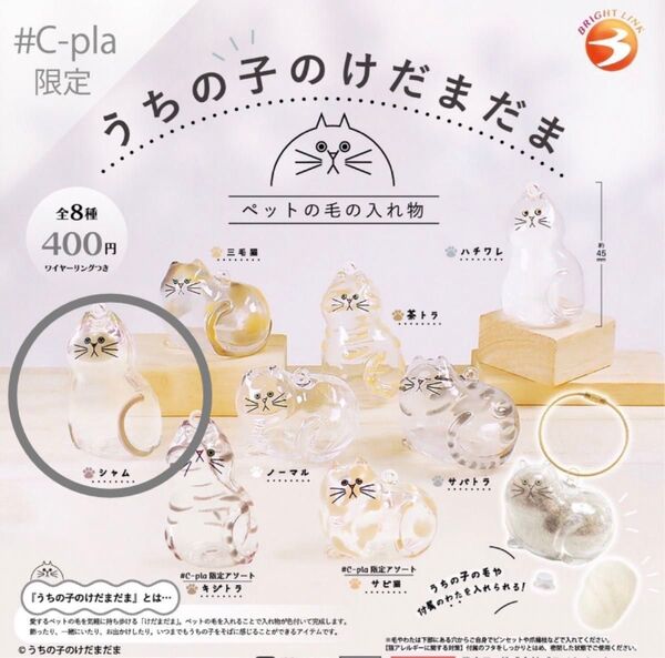 ブライトリンク うちの子のけだまだま シャム 正規品