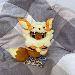 ウィンディポンチョのイーブイ ノーマル ぬいぐるみ ポケモンセンター 沖縄 限定 オキナワ ウィンディ ポンチョ ブイズ レア