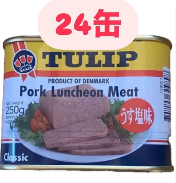 チューリップ うす塩 ポーク 250g×24缶