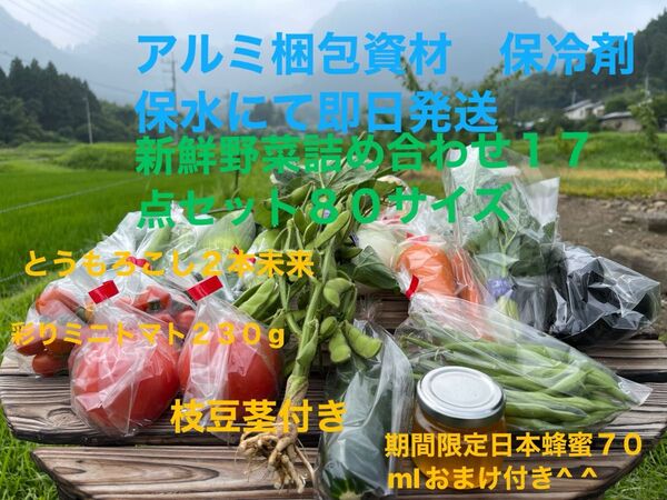 新鮮野菜詰め合わせ17点セット 期間限定日本蜂蜜70mlおまけ付き^ ^ 80サイズ