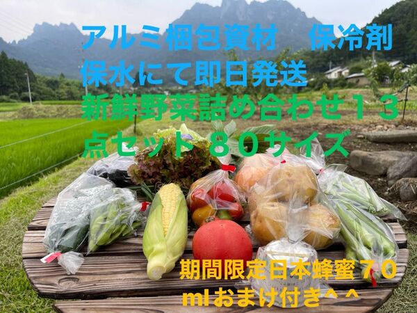 新鮮野菜詰め合わせ13点セット 期間限定日本蜂蜜70mlおまけ付き^ ^ 80サイズ