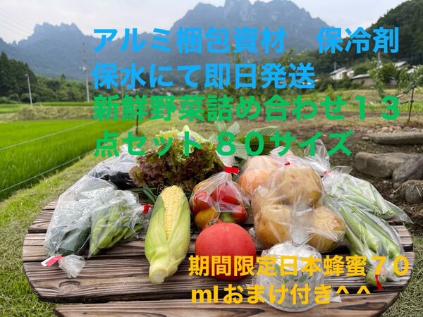 新鮮野菜詰め合わせ13点セット 期間限定日本蜂蜜70mlおまけ付き^ ^ 80サイズ