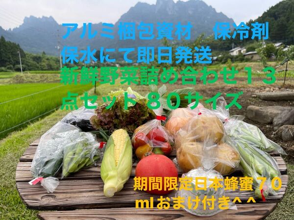 新鮮野菜詰め合わせ13点セット 期間限定日本蜂蜜70mlおまけ付き^ ^ 80サイズ