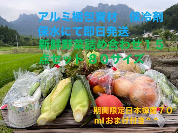 新鮮野菜詰め合わせ15点セット 期間限定日本蜂蜜70mlおまけ付き^ ^ 80サイズ