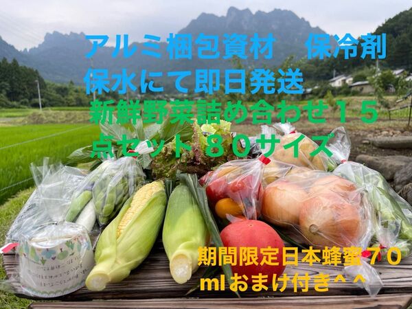 新鮮野菜詰め合わせ15点セット 期間限定日本蜂蜜70mlおまけ付き^ ^ 80サイズ