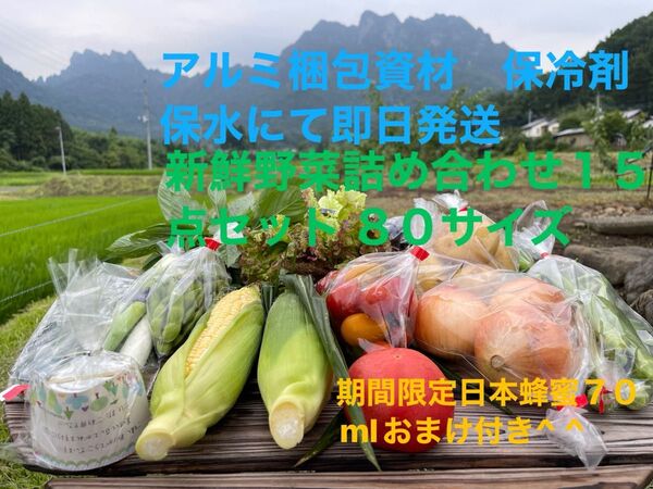 新鮮野菜詰め合わせ15点セット 期間限定日本蜂蜜70mlおまけ付き^ ^ 80サイズ