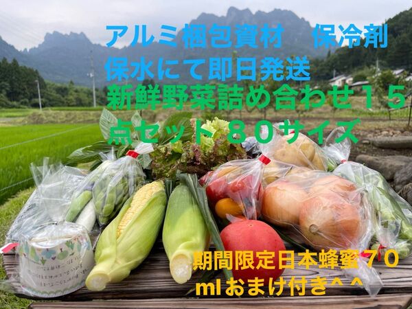 新鮮野菜詰め合わせ15点セット 期間限定日本蜂蜜70mlおまけ付き^ ^ 80サイズ